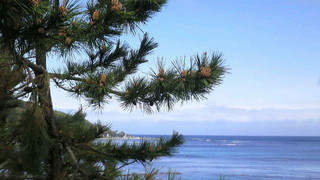 20090428