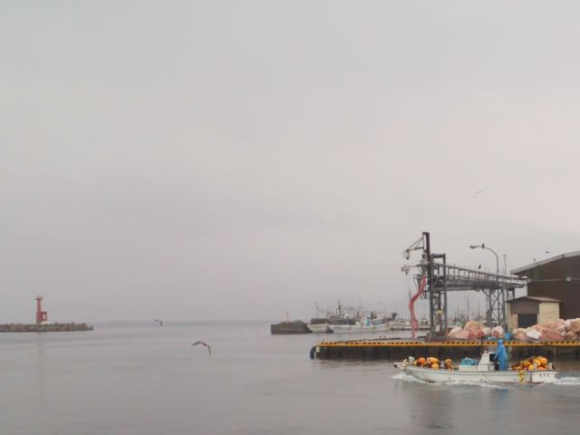 20131103DCIM0015