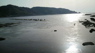 20090502