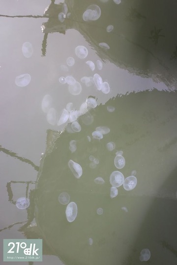 20150612