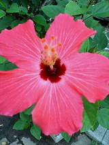 3b5551a0.jpg