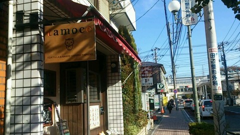 tamoce