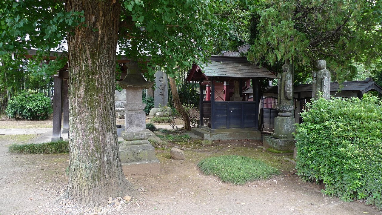 s-P1210080