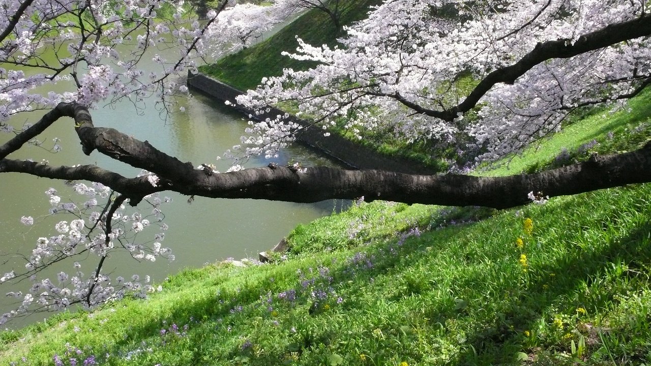 s-P1620041