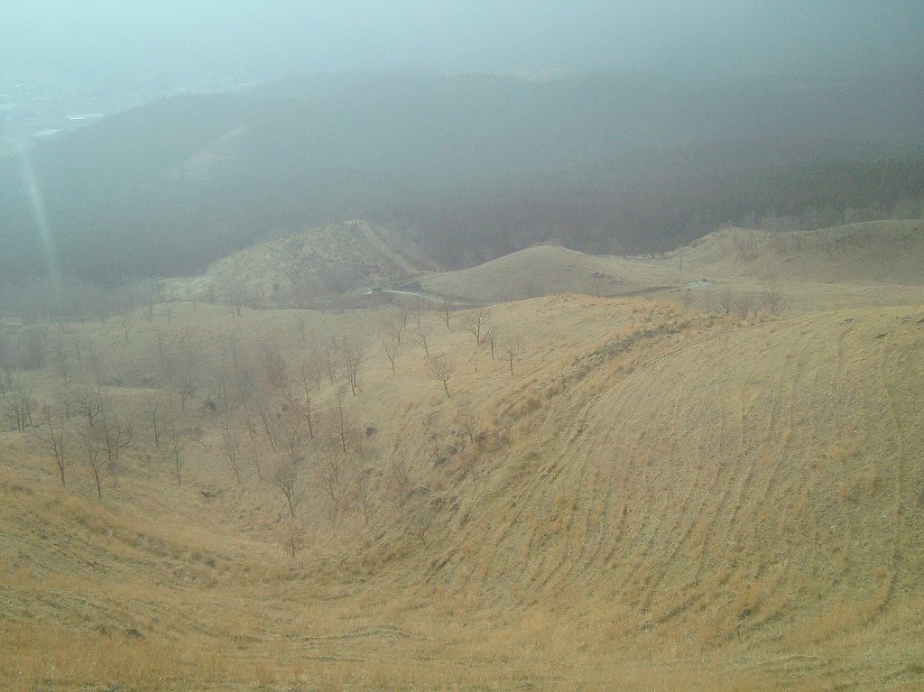¹õÀî²¹Àô¡Ê·§ËÜ¡¦°¤ÁÉ¡Ë2005ǯ3·î13Æü