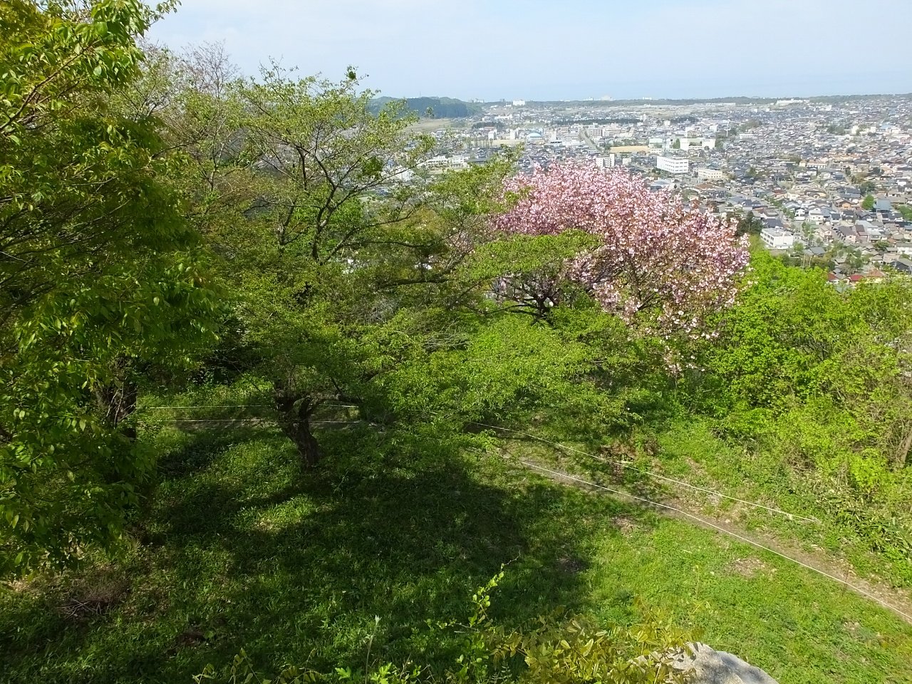 s-DSCF7337