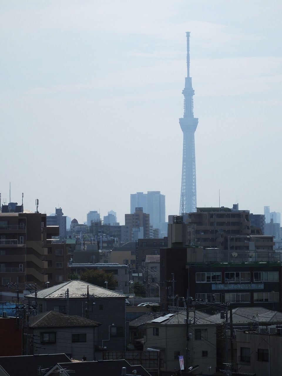 s-DSCF6134