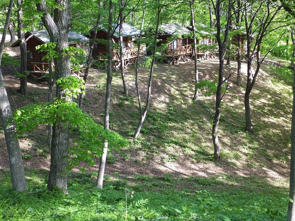 s-DSCF1361