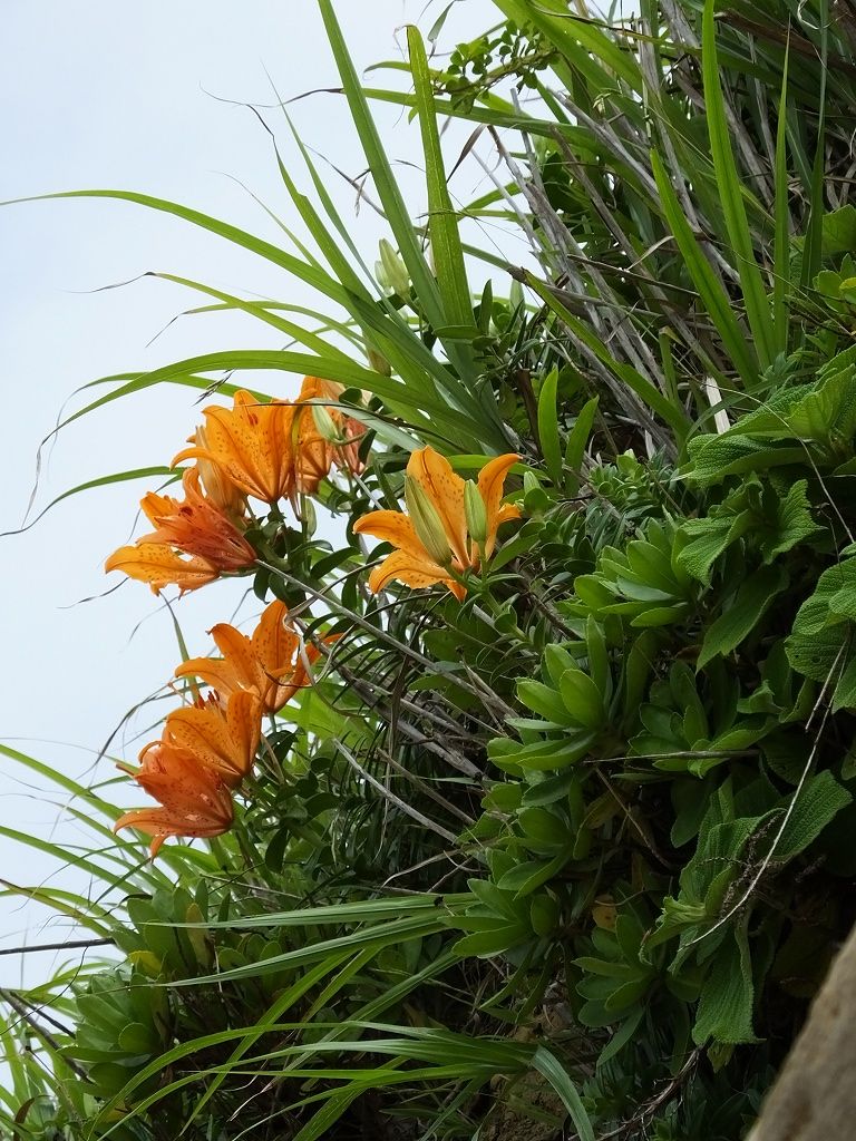 s-DSCF5280