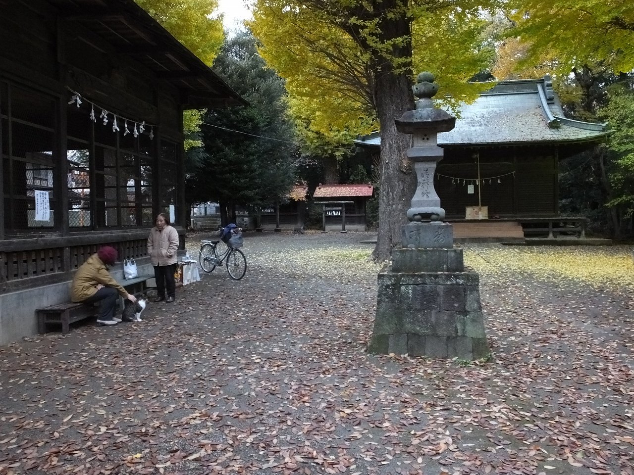 s-DSCF3462