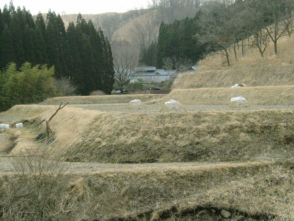 ¹õÀî²¹Àô¡Ê·§ËÜ¡¦°¤ÁÉ¡Ë2005ǯ3·î13Æü
