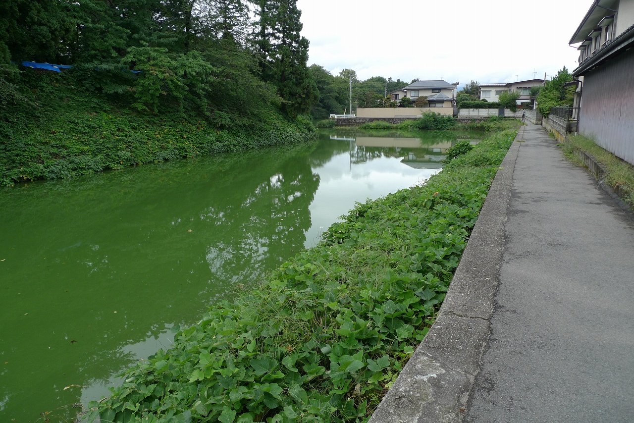 s-P1410907