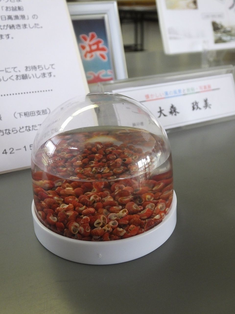 s-DSCF8994