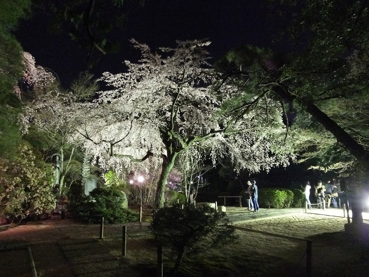 s-DSCF3355