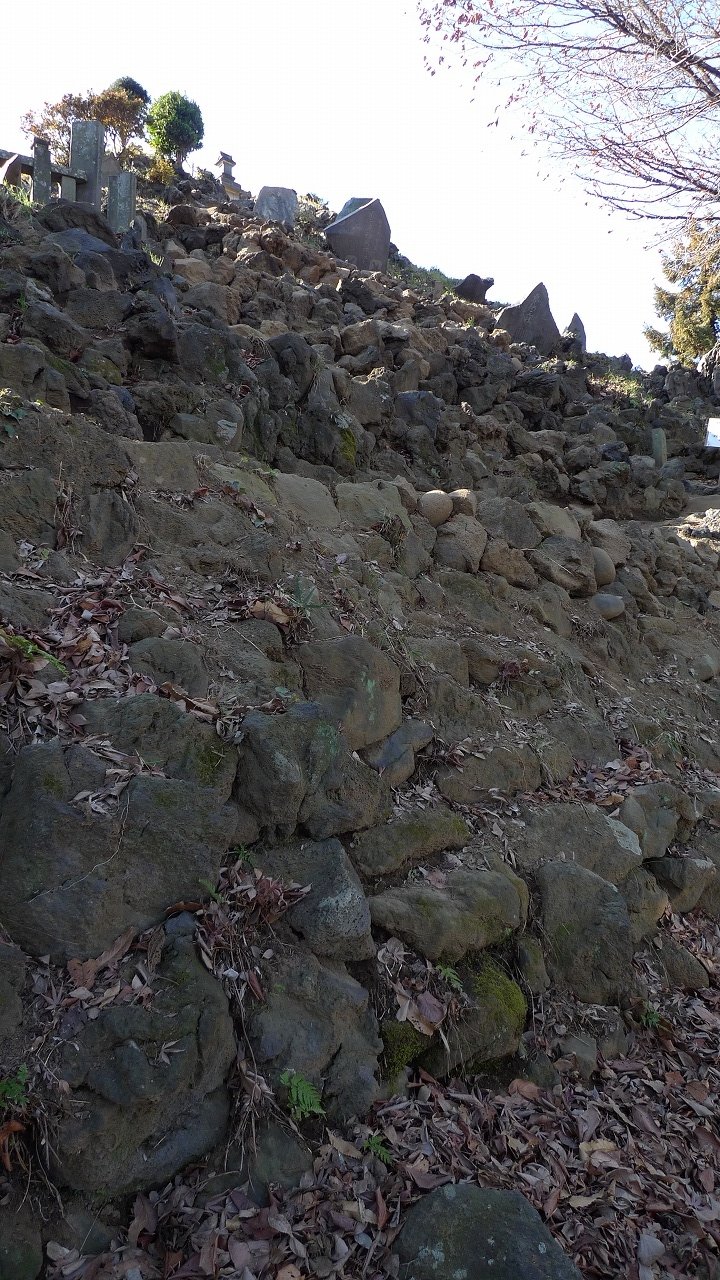 s-P1130680