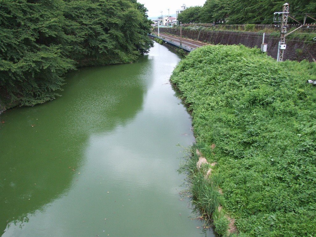 s-DSCF7290