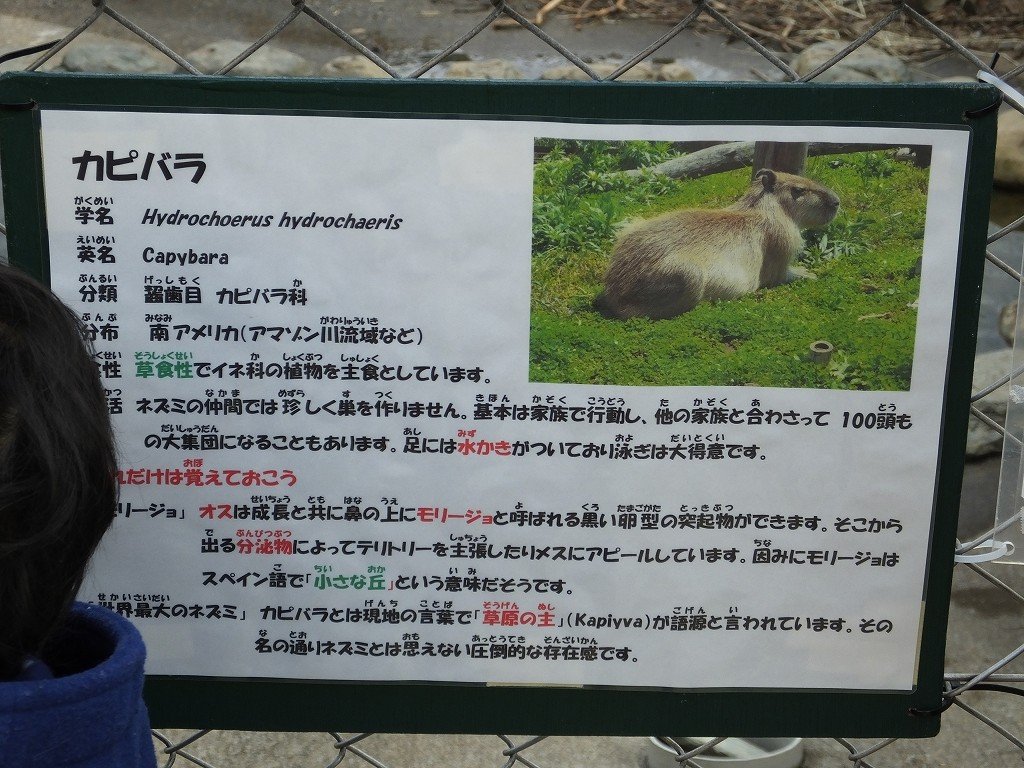 s-DSCF6592
