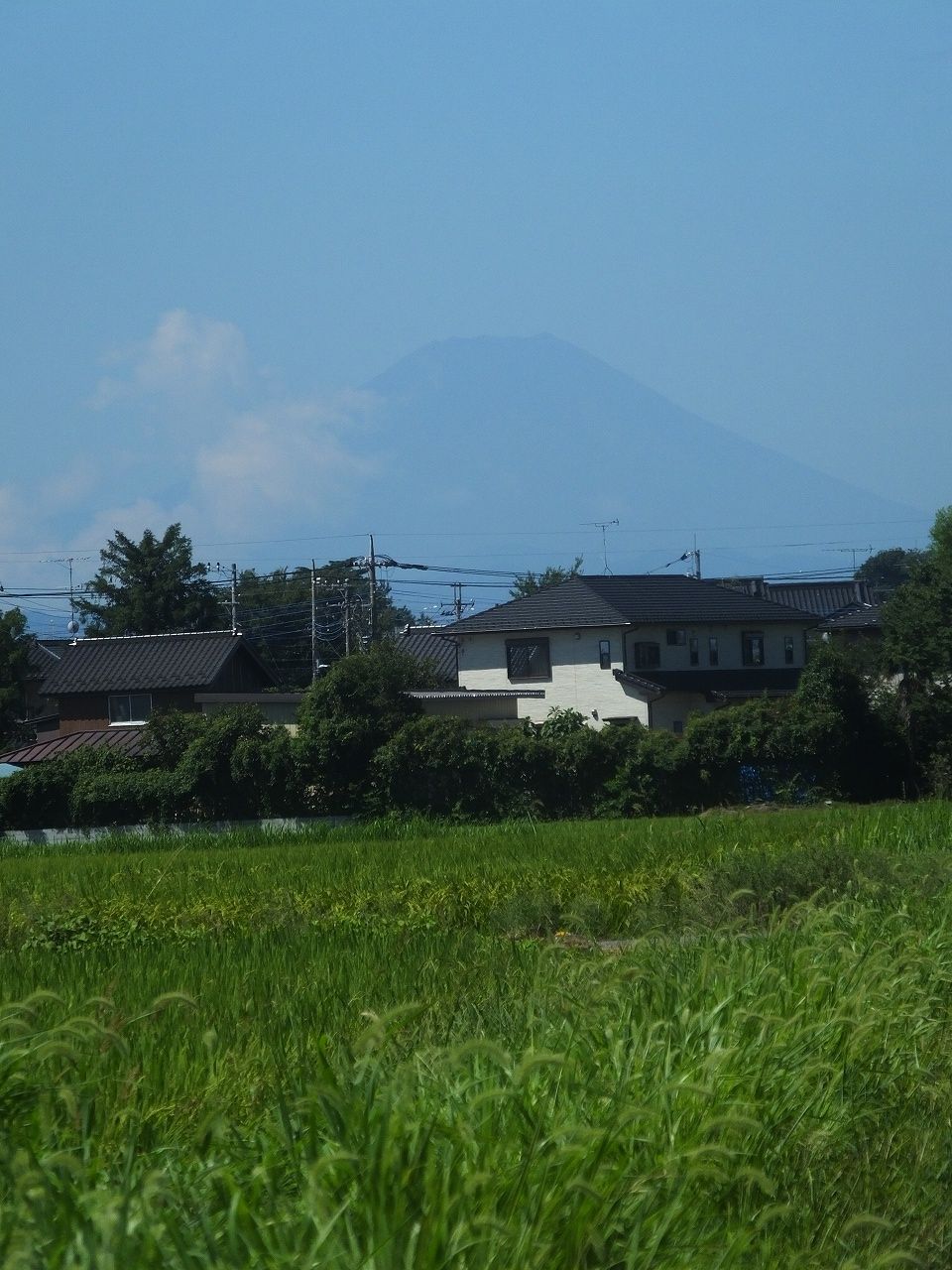 s-DSCF3969