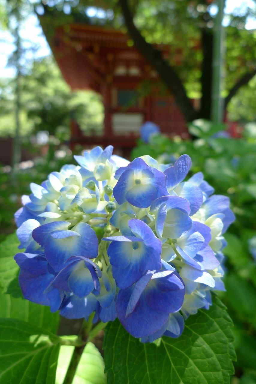 s-P1520349