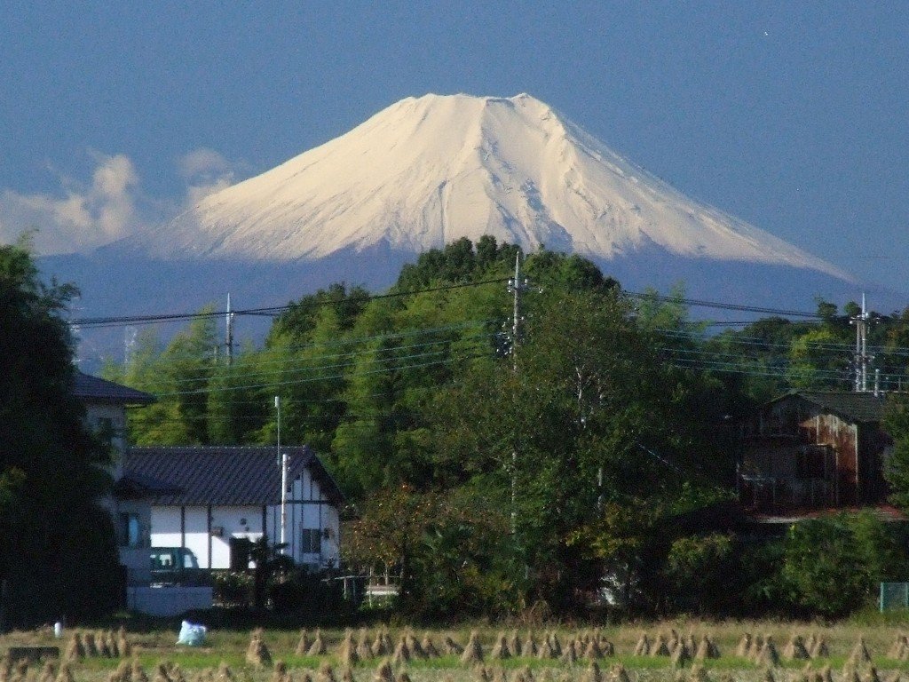a870231b