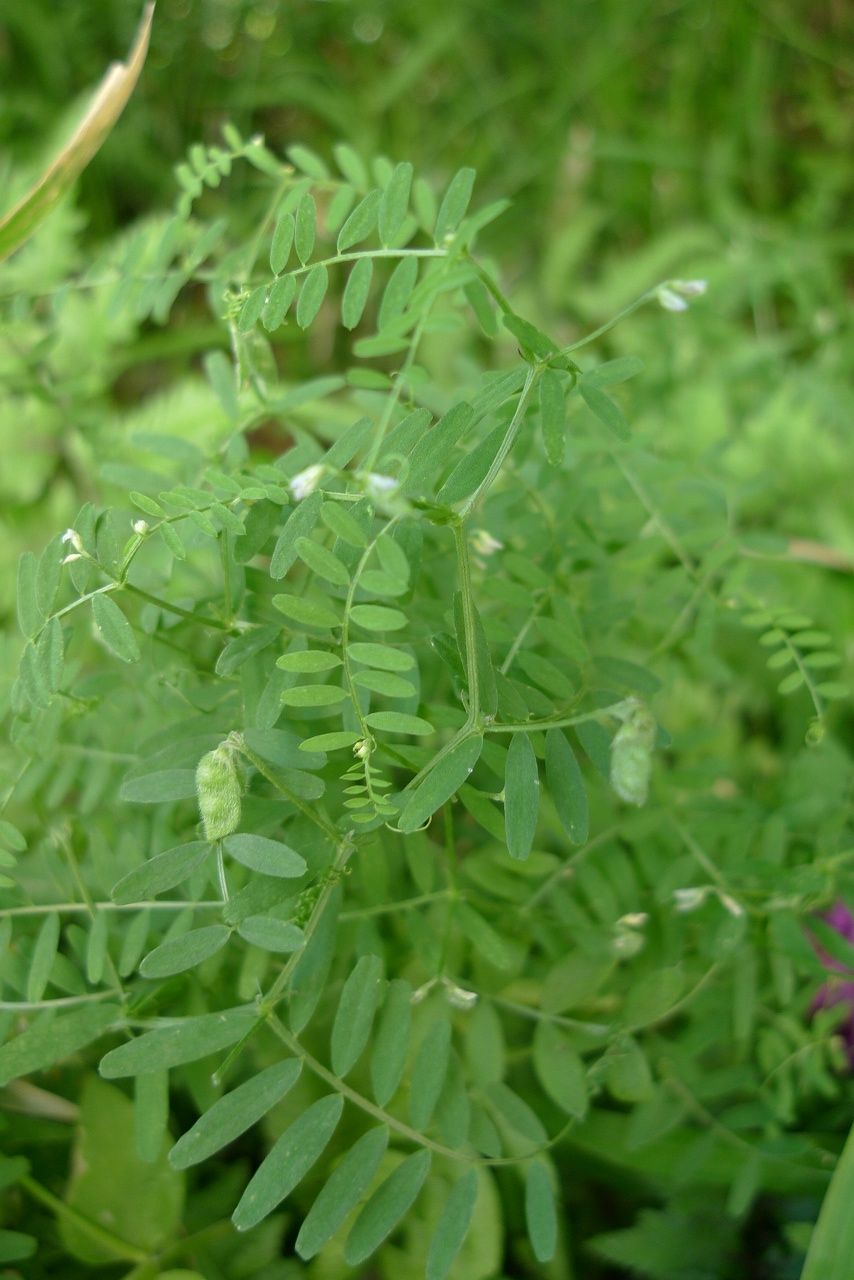 s-P1340952