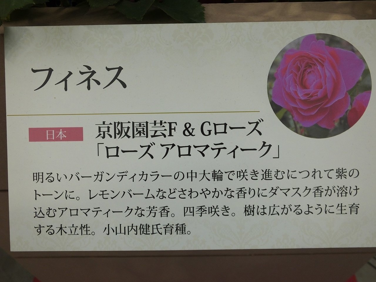 s-DSCF7613