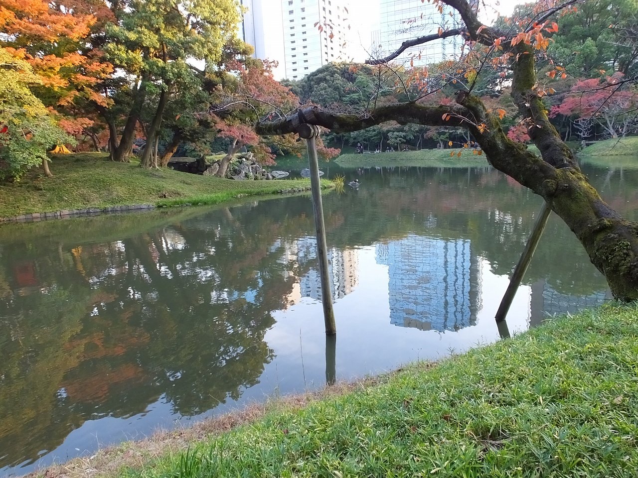s-DSCF2994
