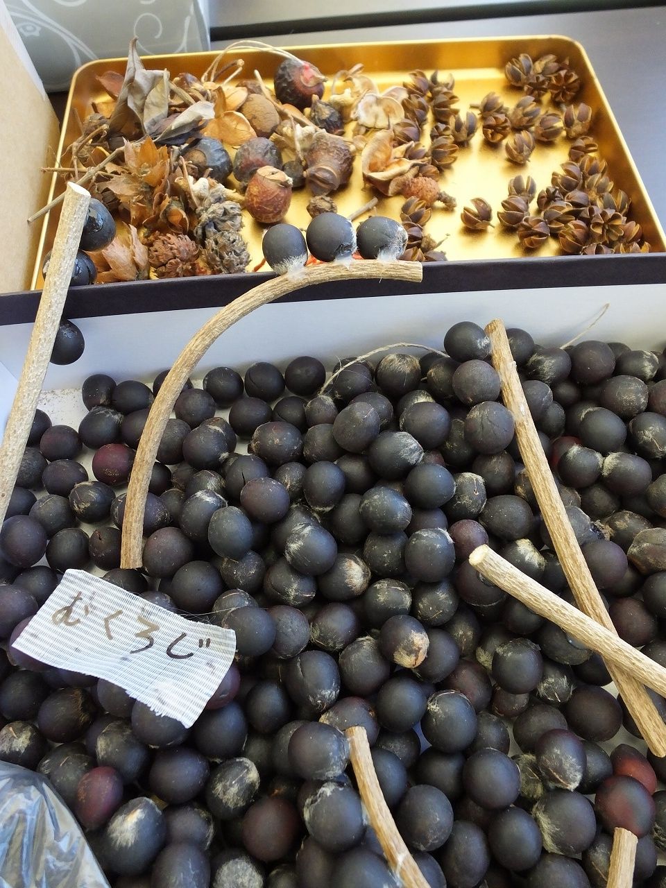 s-DSCF0555