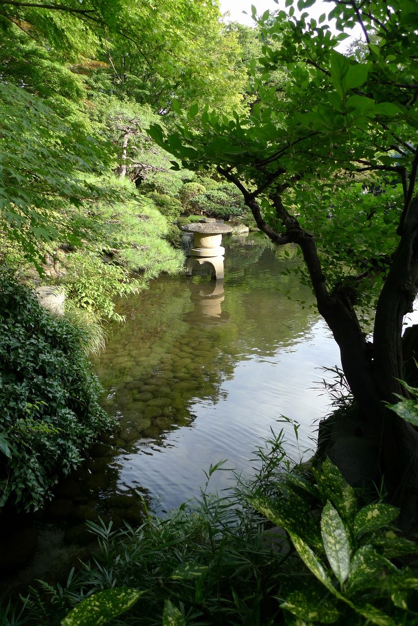 s-P1540526