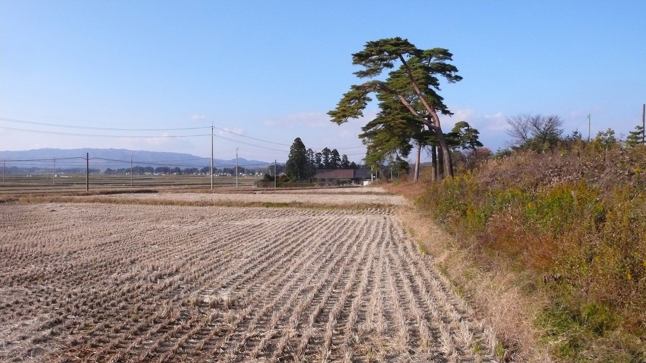 s-P1570708