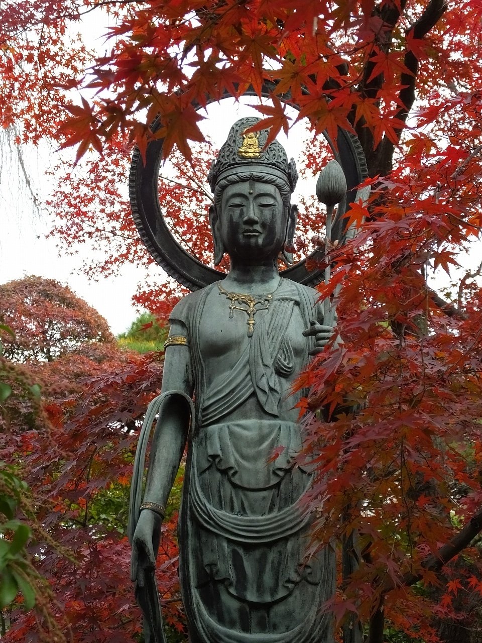 s-DSCF8158