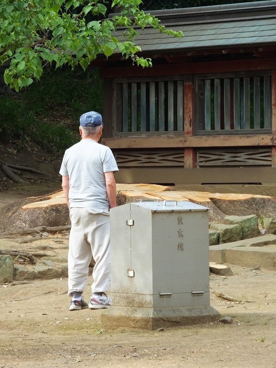 s-DSCF6815