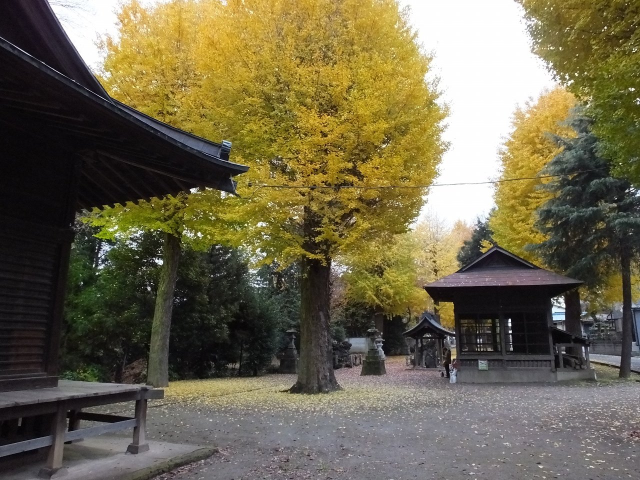 s-DSCF3470