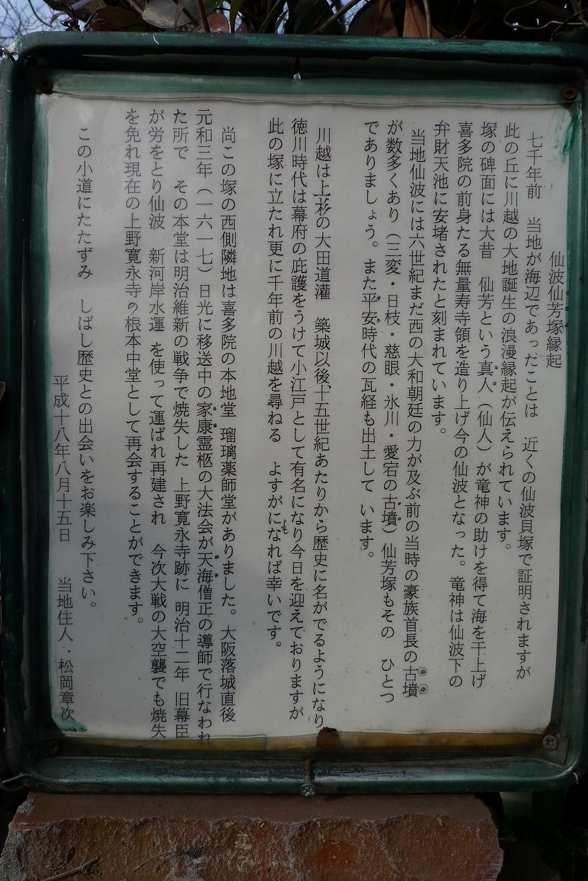 s-P1300554