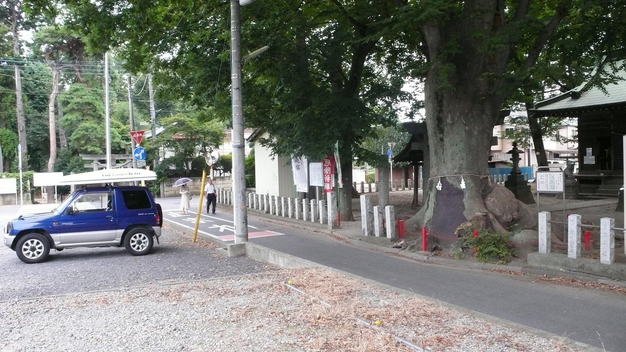 s-P1550124
