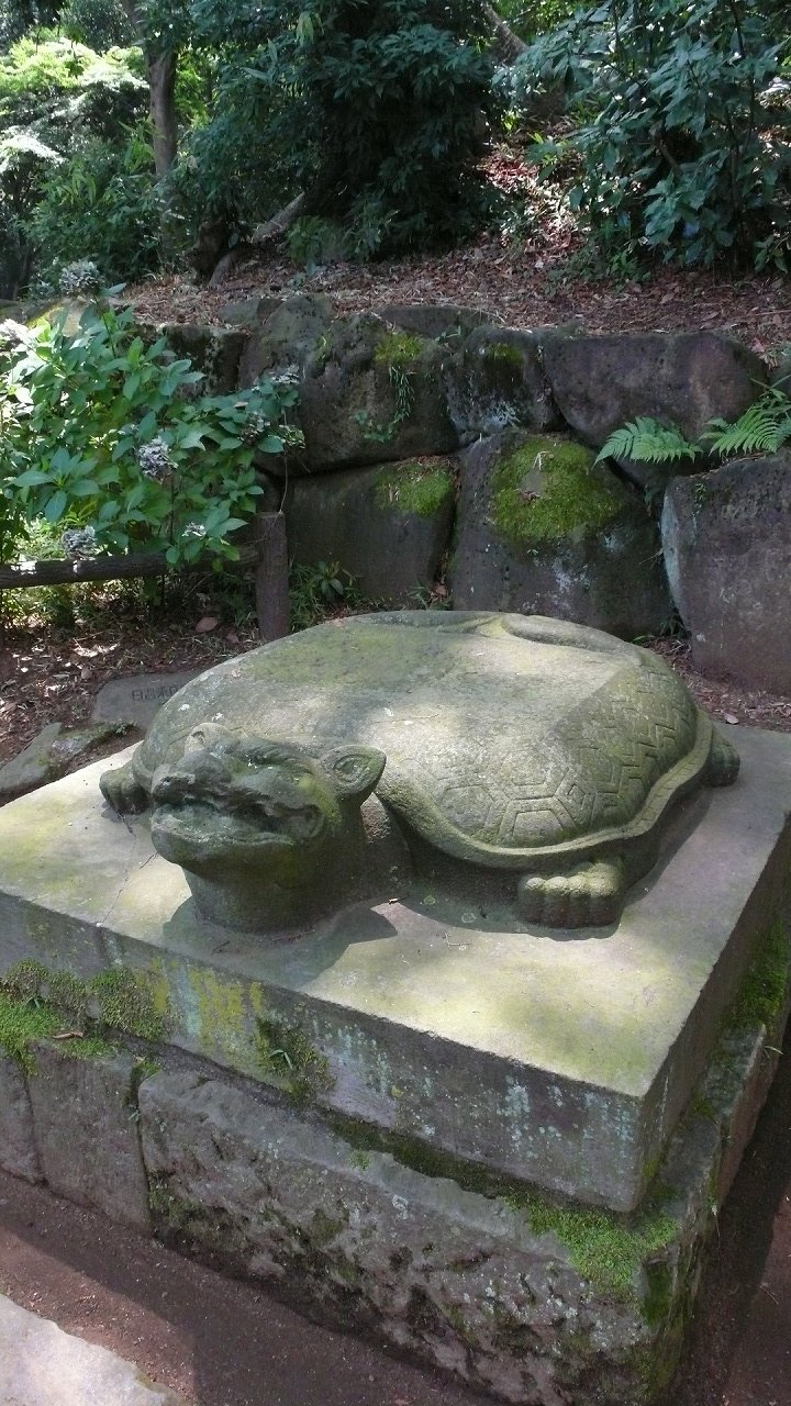 s-P1670685