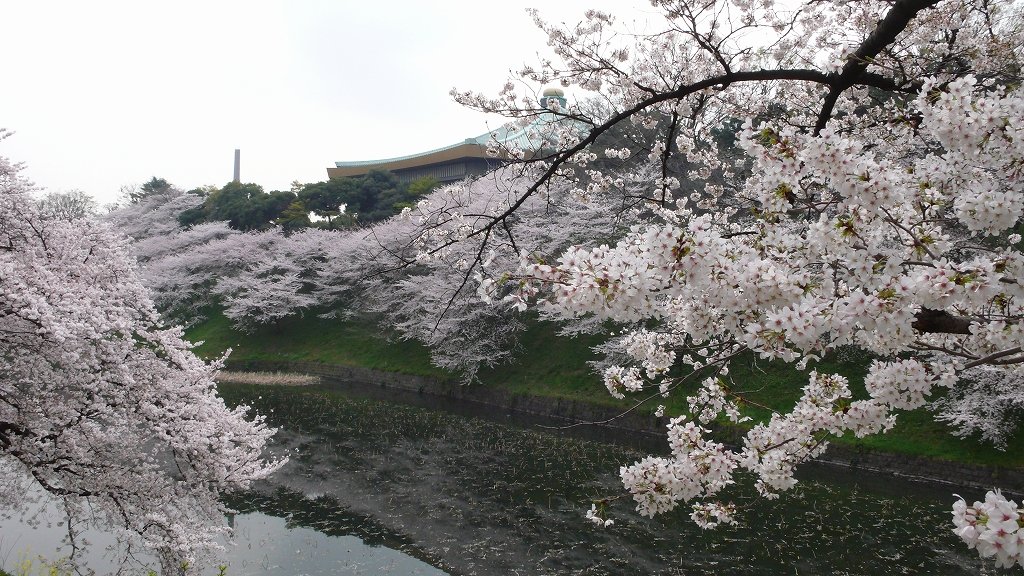 Ãæ¸¶½ß°ì À¸ÃÂ100ǯ´ë²èŸ¡§¾¼Ï´Û