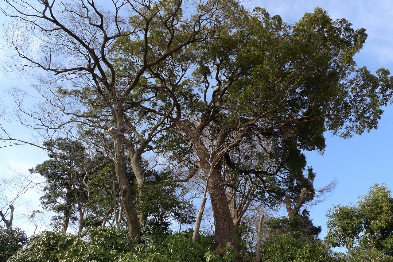 s-P1330230
