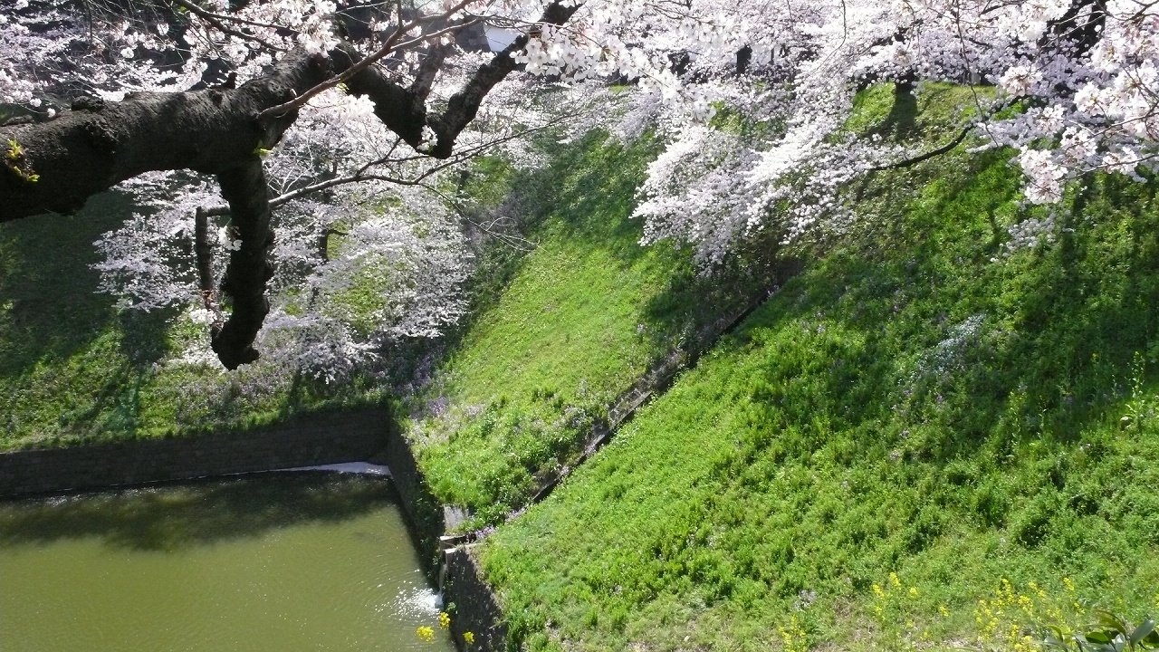 s-P1620034