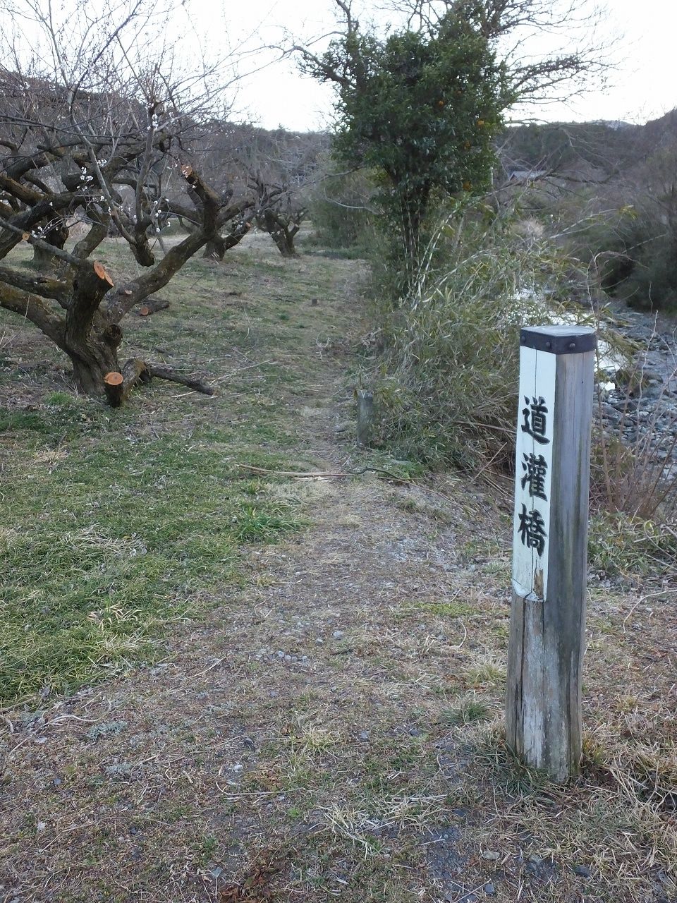 s-DSCF6268