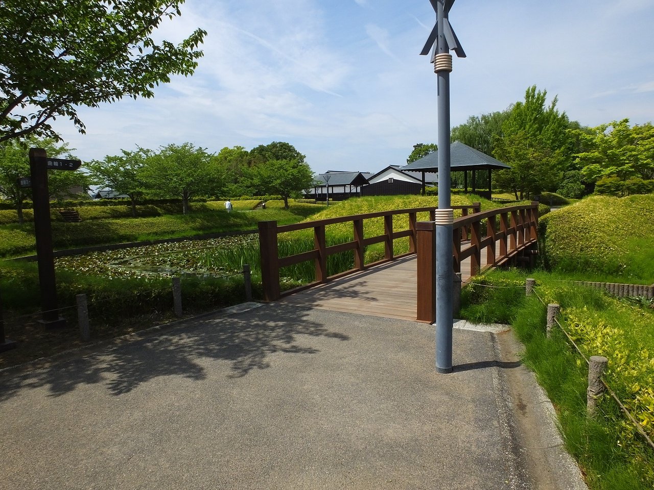 s-DSCF7478
