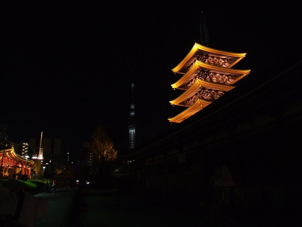 ¥é¥¤¥È¥¢¥Ã¥×¤µ¤ì¤¿¥¹¥«¥¤¥Ä¥ê¡¼¡Ê¶ÈÊ¿¶¶¡õÀõÁð¡Ë
