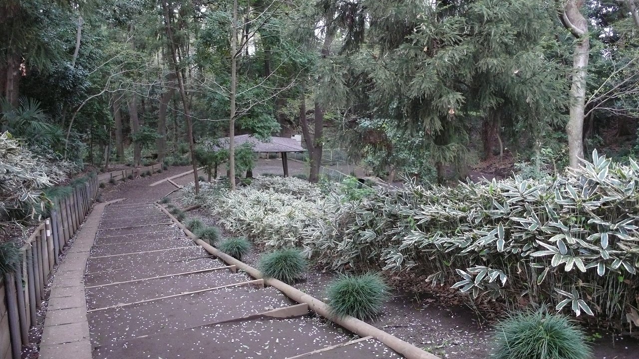 s-P1620793