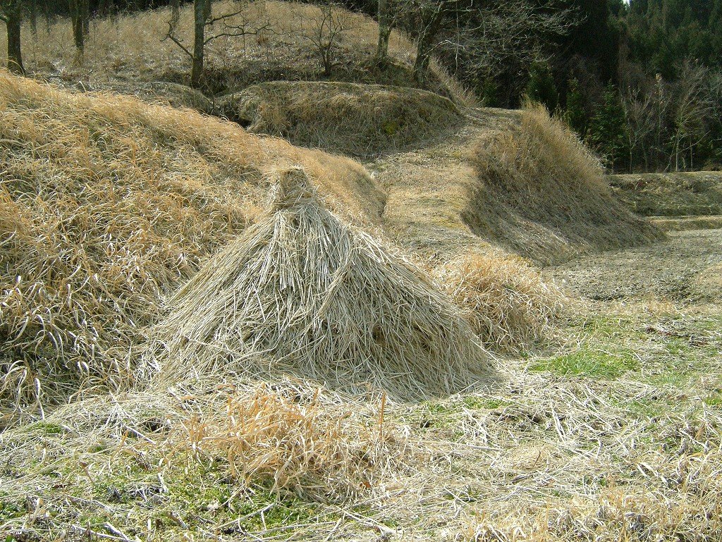 ¹õÀî²¹Àô¡Ê·§ËÜ¡¦°¤ÁÉ¡Ë2005ǯ3·î13Æü