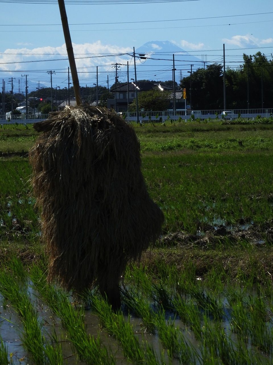s-DSCF1345
