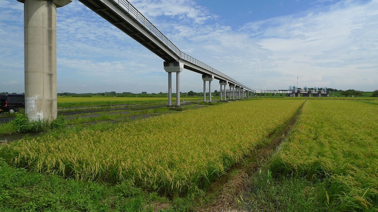 s-P1230383