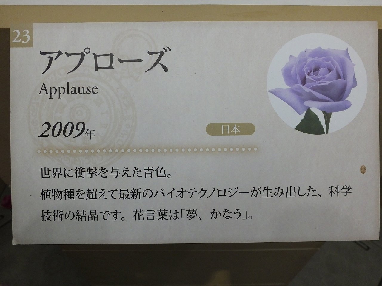 s-DSCF7588