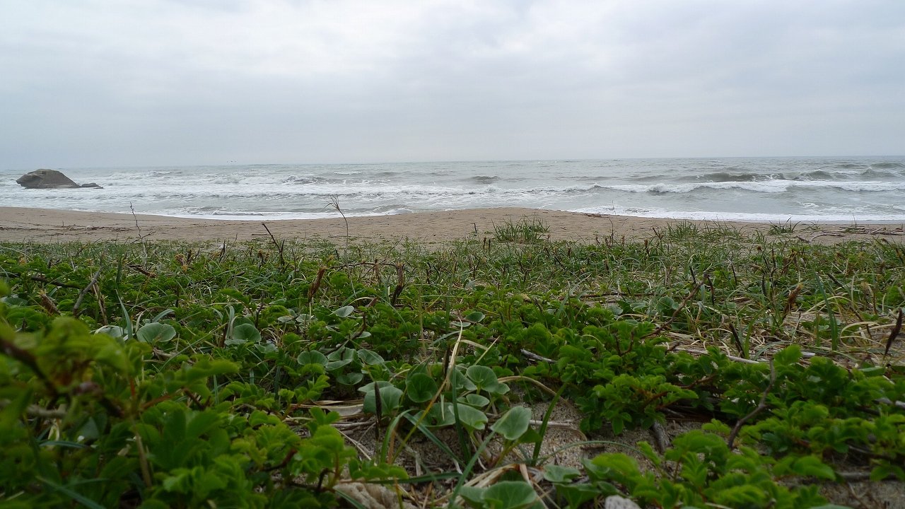s-P1170247