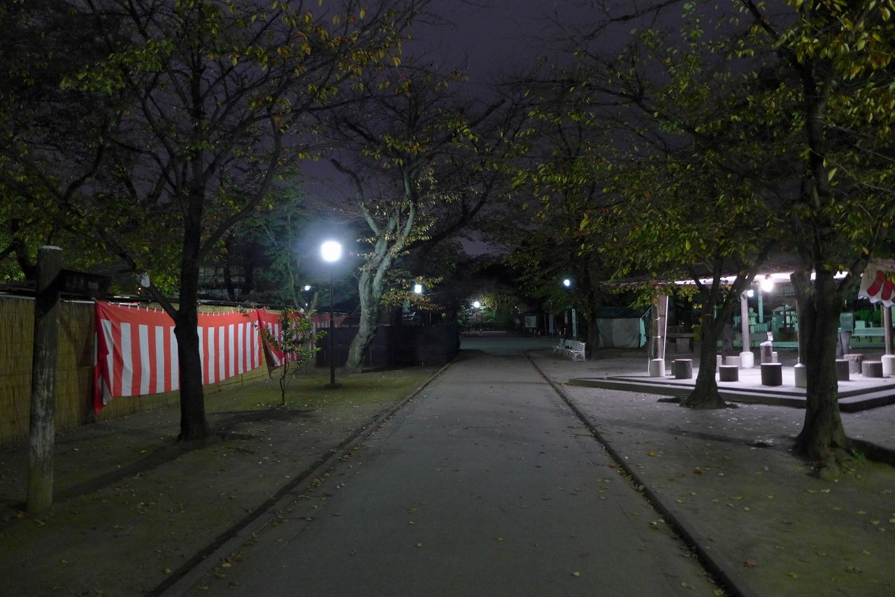 s-P1000221