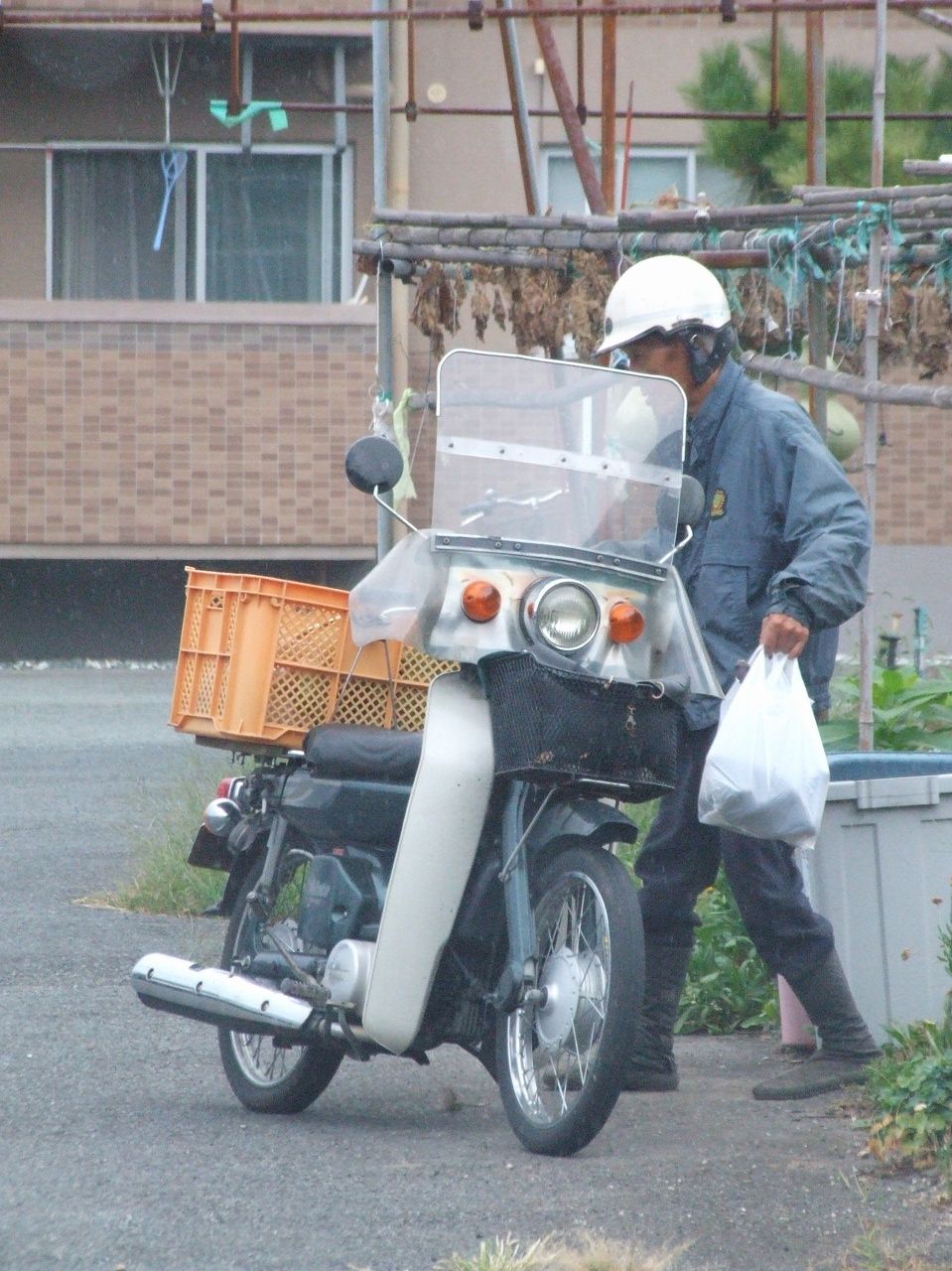 s-DSCF7095